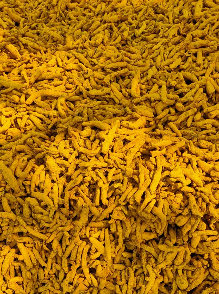 Good quality Turmeric available for sale